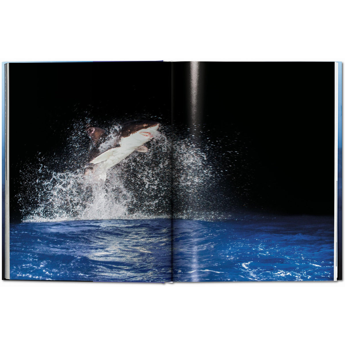 Taschen - Sharks (Michael Muller) - XL Edition