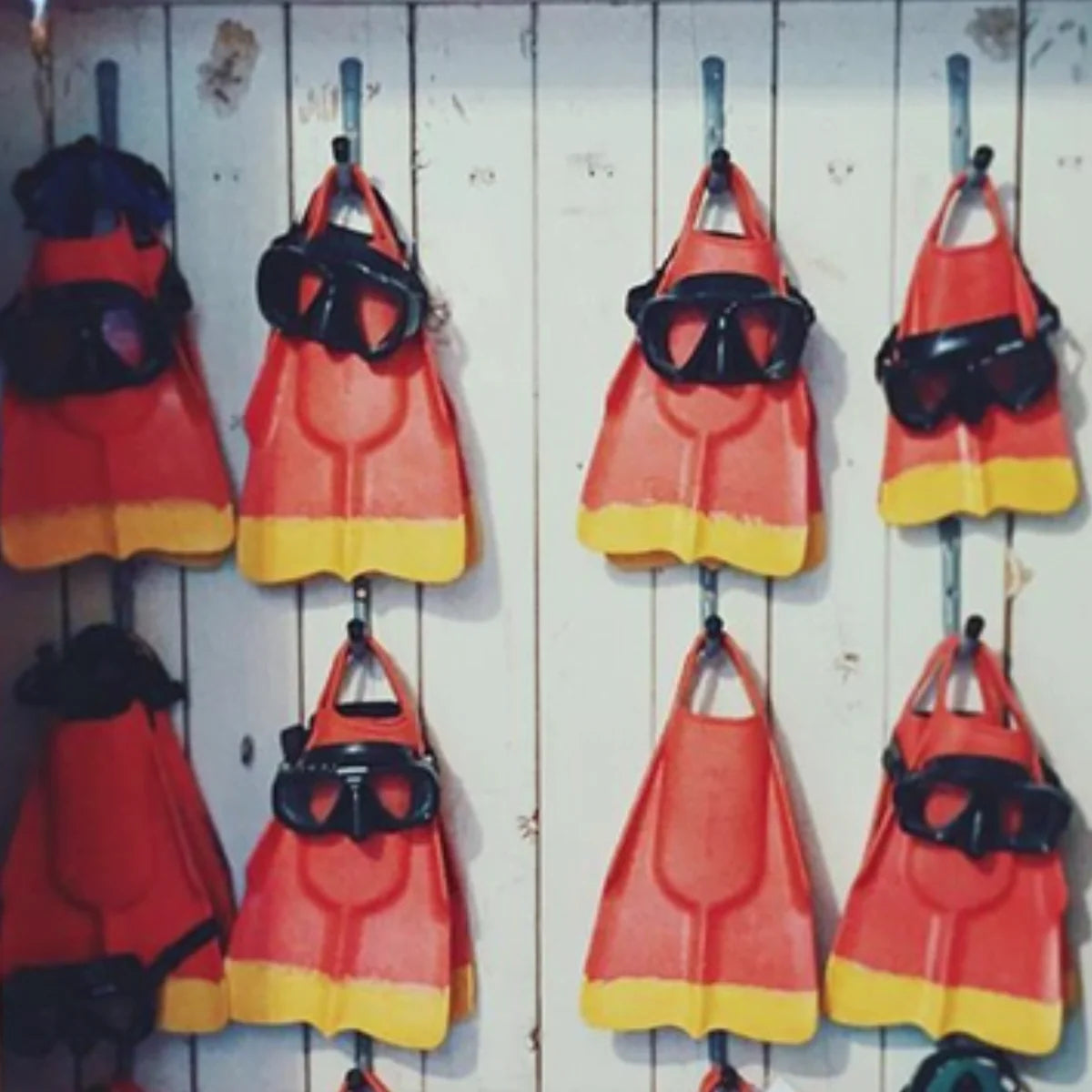 DA FIN  - Palmes bodyboard, bodysurf, lifeguard - Red / Yellow