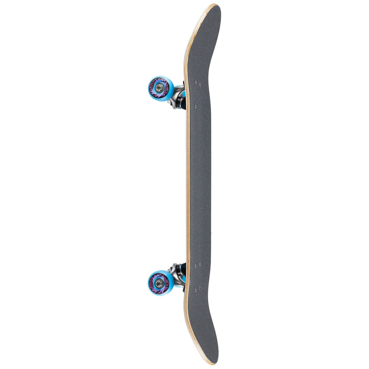 Santa Cruz - Skateboard Complete 8.0 x 31.25 - Screaming Hand